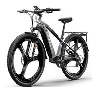 VéLo Électrique Speedy 29 (M520) | Vitesse Max 25 km/h | Autonomie 85 km | Moteur 500W | Batterie 48V 14Ah | Pneus 29 Pouces | Gris