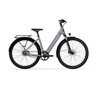Vélo électrique Tenways CGO800S Gris