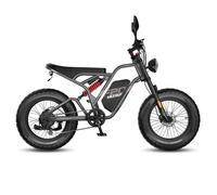 Vélo électrique tout-terrain Fafrees F20 Ultra, 20"" × 5.0, batterie 48V 25Ah, gris