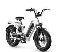 Vélo électrique tout-terrain G-FORCE RS ST 20 pouces, batterie 48 V 20 Ah, freins à disque hydrauliques