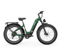 Vélo Électrique Tout-Terrain (VTT Électrique) en Aluminium Léger & Résistant 250W - Performance et Confort Garantis
