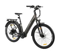 Vélo électrique TTGO Z3 avec batterie amovible 48 V 15 Ah et freins à disque hydrauliques - Gris