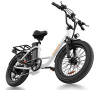 Vélo électrique URLIFE E20, 20''*3.0 pouces, moteur 250W, batterie amovible 48V 13AH, vélo électrique urbain pour adulte, idéal pour les trajets en ville. noir