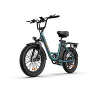 VéLo Électrique URLIFE E20 | Vitesse Max 25 km/h | Autonomie 80 km | Moteur 250W | Batterie 48V 13Ah | Pneus 20 Pouces | Vert