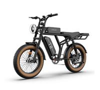 Vélo Électrique URLIFE T2 - Autonomie 100km - Moteur 750W - Batterie 48V 15.6Ah - Vitesse 45 km/h - 20*4.0 VTT
