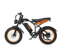 Vélo Electrique VTT Pneu 20'' 750W 48V/18,2Ah 40km/h 43-75km Autonomie Batterie Amouvable