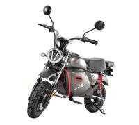 VéLo Électrique Y18 | Moteur 2000W | Batterie 48V 20Ah | Pneus 15 Pouces | Vitesse Max 55 km/h | Autonomie 80-90 km | Gris