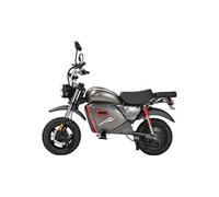 Vélo Electrique Y18 - Tout-Terrain 15", Batterie 48V 20Ah, NFC, Gris