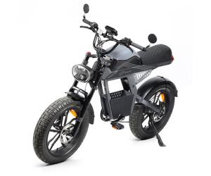Vélo électrique Youin Las Vegas BK7100 Fat Bike 20 250W 100km
