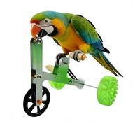 Vélo pour oiseaux - Jouet d'apprentissage de taille compacte, structure en acier inoxydable, cycle d'entraînement mental avec défi de compétence | Jouet interactif pour oiseaux de table pour conure
