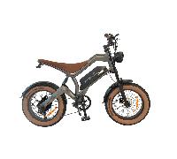 Vélo tout-terrain électrique DYU M20 20 pouces avec batterie 48 V 18,2 Ah