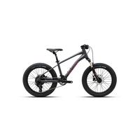 Vélo tout terrain enfant Polygon Xtrada20 Microshift RD-M6195 9V Gris