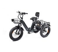 Vélo Trike Électrique - Dual Moteur 500W - Dual Batterie 48V13.5Ah - Autonomie（PAS） 80km 32KM/H - Pneus 20*4.0 - Shimano 7V - Noir