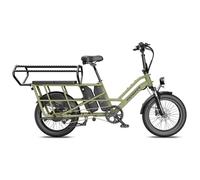 Vélo utilitaire électrique Fafrees FF20 CUV, pour la famille, double batterie, vert