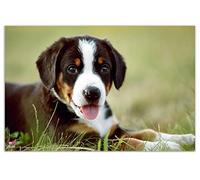 VELOFLEX 4651113 - Sous-main chiot, 40 x 60 cm, antidérapant, effaçable, avec film de protection antireflet transparent, sous-main, sous-main pour peinture, sous-main pour travaux manuels