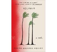 Velorio: A Haunting Literary Debut - Magical Realism in Puerto Rico After Hurricane Maria