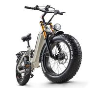 Vélos électriques 20 Pouces Vélo électrique pour Adultes,48V 20Ah Batterie, VTT Electrique Shimano 7 Vitesses avec écran LCD, Double Amortisseurs E-Bike