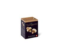 Veloute Proteine (7 X 28g)ChampignonSoupes ProtéinéesProtifast