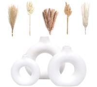 VELOVA Lot de 3 vases en céramique Blanche avec 65 Fleurs de la Pampa séchées, esthétiques, Modernes, Petits vases Ronds Mignons pour décoration de Salon, Table Basse, étagère, Chambre à Coucher,