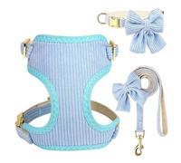 Velvet Doux Velvets Breathable Collar Collar Faire Un Ensemble avec Une Boucle en Métal À Bowknot pour Shiba Inu Pug Chihuahua Poodle Yorkshire,Bleu,M