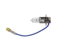 VEMO V99-84-0013 Ampoule feu de route