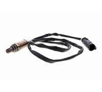 VEMO Sonde Lambda Régulièrement pour BMW 3er Cabriolet 330 Ci 325 325i 330i 525i