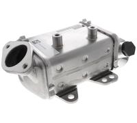 Vemo - V24-63-0022 - Refroidisseur, Échappement Gas Récirculation - Pour Fiat