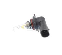 VEMO V99-84-0080 Ampoule feu de route