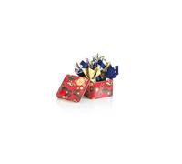 Venchi, Coffret Cadeau de Noël en forme de Paquet Cadeau avec Chocolats Cometa Assortis, Édition Limitée, 74 g, Sans Gluten, Sans Colorants ni Conservateurs, Idée Cadeau et Décoration de Noël