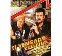 Vengador Callejero [Import USA Zone 1]
