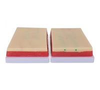 Venipuncture IV Lot de 2 tapis d'entraînement à l'injection en silicone, modèle d'entraînement à suture de la peau humaine, tapis d'entraînement à l'injection, 4 veines imbriquées, 3 couches de peau