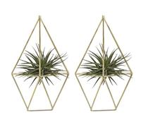 VENOAL Lot de 2 supports muraux à suspendre avec pentagone géométrique en métal Tillandsia pour plantes aériennes Décoration murale pour Himmeli
