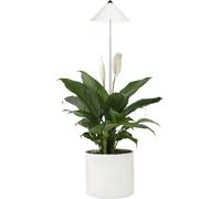 Venso Lampe de Culture SUNLiTE 7W - Blanc