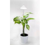 Venso Lampe pour plantes à LED, croissance SUNLiTE XL 25 W Weiß 230 V LED intégrée 25 W blanc neutre 1 pc(s)