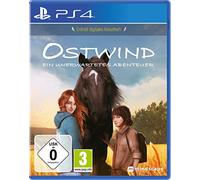 Vent d'Est: Une aventure inattendue (Playstation 4)