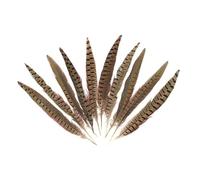 Vente en gros 10-75CM 4-30quot; Plumes de Queue de Faisan à Col Roulé Naturelles pour Artisanat Décorations de Mariage Plumes de Faisan Carnaval-20-25CM 8-10 Pouces, 200 Pcs