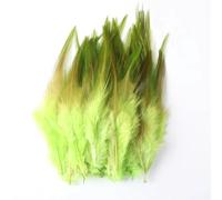 Vente en gros 50 pièces/lot Plumes de poulet pour l'artisanat 4-6 pouces 10-15 cm Plumes de coq Plume bijoux décoration Plumes-Vert pomme-50pcs