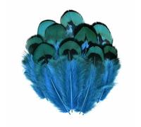 Vente en gros plumes de faisan naturelles plumes de paon aigle petite plume accessoires artisanat création bijoux décoration vacances [3-7 cm, 20 pièces]