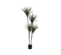 Vente-unique - Plante Artificielle Yucca avec Pot - H.150 - LYA