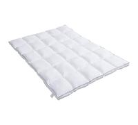 Vente-unique - Surconfort de Matelas Anti-acariens 2 Places - 160 x 200 cm - Enveloppe Satin 120 Fils/cm2 - garnissage 1000gr/m2 - Blanc Passepoil Bleu - PRESTIGIA de Palacio