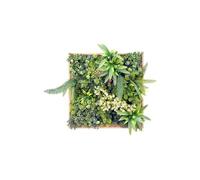 Vente-unique-Tableau végétal synthétique 55 x 55 cm- Cadre naturel, feuillage vert - LOVARK