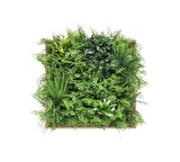 Vente-unique-Tableau végétal synthétique 55 x 55 cm- Cadre naturel, feuillage vert - VEGETIRI