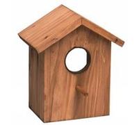 Venteo - Perchoir Bird Watcha - Perchoir pour oiseaux, à installer sur une fenêtre G