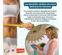 Venteo Programme Puissance 1000 Brûleur De Graisses Complément Alimentaire Naturel À Base De Plantes, Algues Et Ferments Lactiques Amincissant Extra Fort Programme 30 Jours Made In France