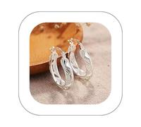 ventes flash Grands cerceaux cercle forme géométrique boucles d’oreilles strass mode femmes boucles d’oreilles en argent 925 boucles d’oreilles élégantes bijoux cadeaux