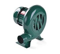 Ventilateur de Barbecue, Souffleur éLectrique à Fil de Cuivre Centrifuge avec Couvercle de Dissipation de Chaleur, Adapté Aux ActivitéS de Plein Air de Pique/Vert / 100W