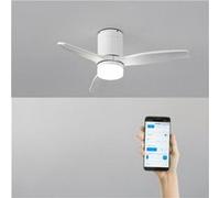 Ventilateur de plafond 40W silencieux - WIND CALM - Blanc Blanc G