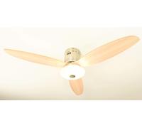 Ventilateur de plafond Aero avec lumière et télécommande aireRyder