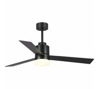 Ventilateur de plafond avec lampe Blaupunkt BP2012 65 W noir