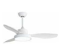 Ventilateur de Plafond avec Lumière EDM Arctic 24 W 2160 Lm Blanc Blanc G
